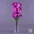 Фото 4 Е 4 / 10 орхидея большая