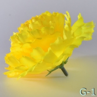 G - 1 гвоздика