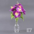 Фото 4 Е 7 / 7 орхидея малая