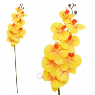s9-orx ветка орхидеи высокая